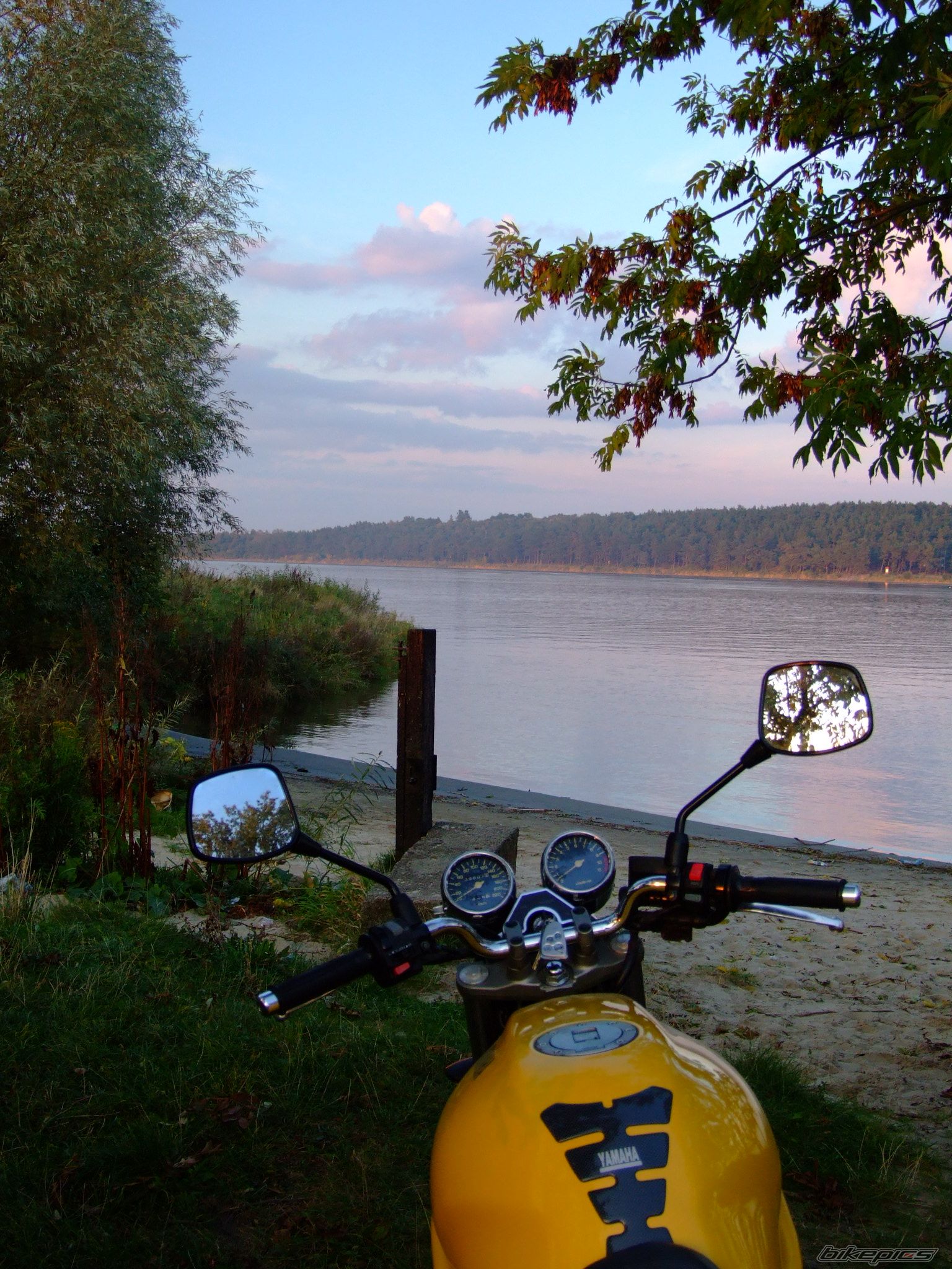 Photo 1437904