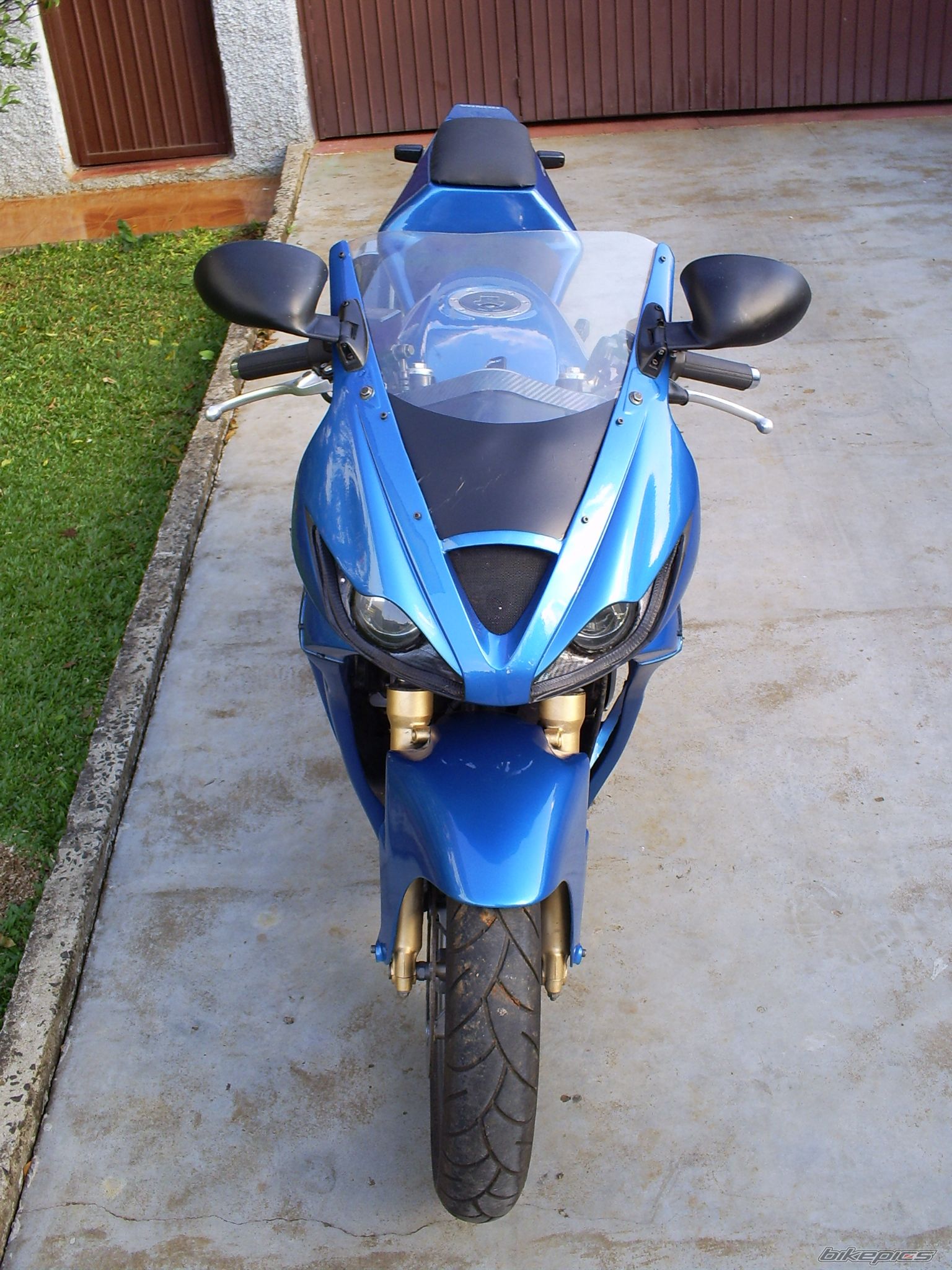 Photo 1437907