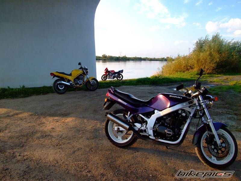 Photo 1437910