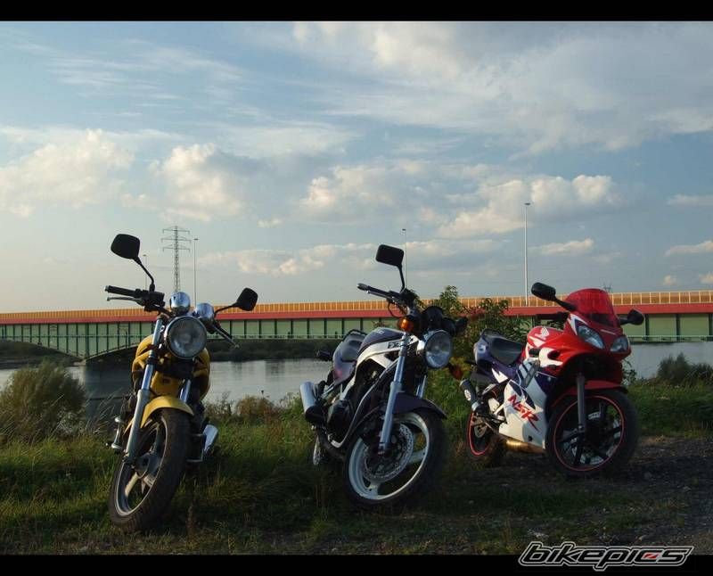 Photo 1437912