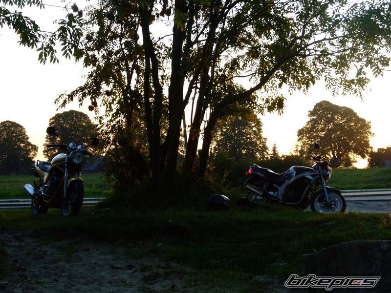 Photo 1437914