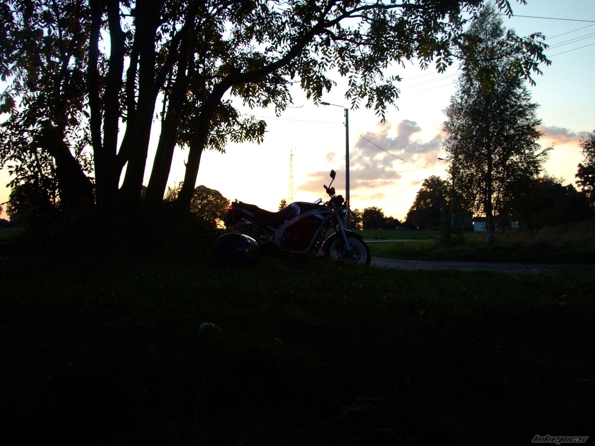 Photo 1437943