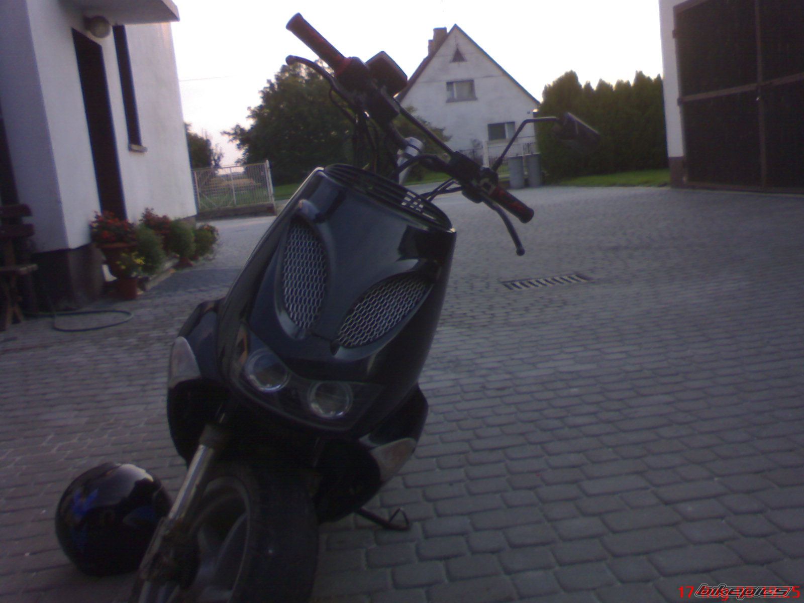 Photo 1437960