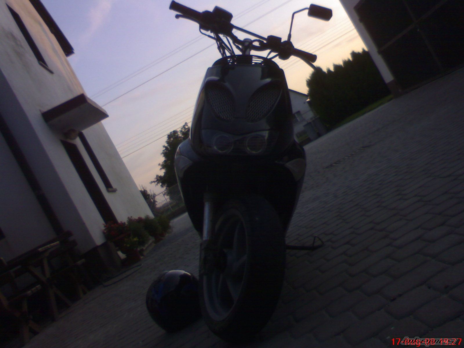 Photo 1437970