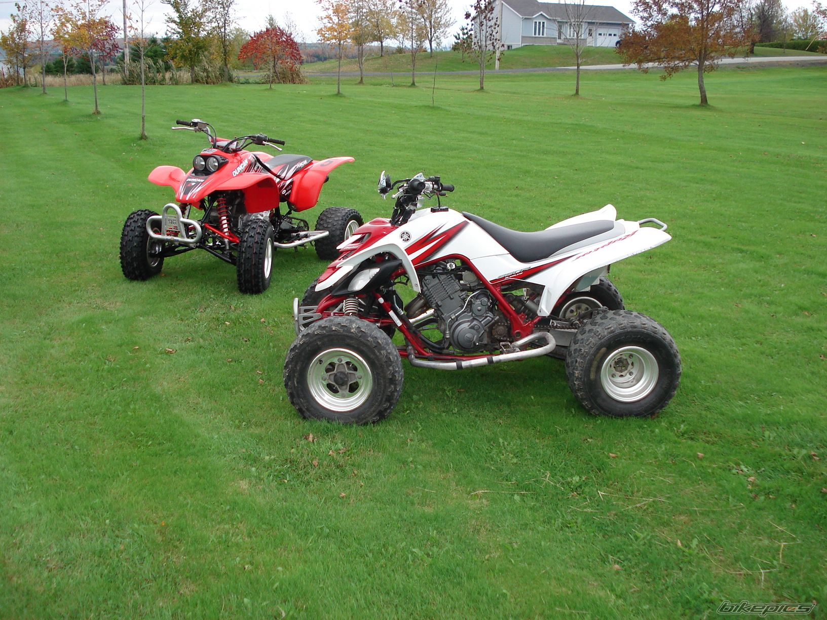 Photo 1437971