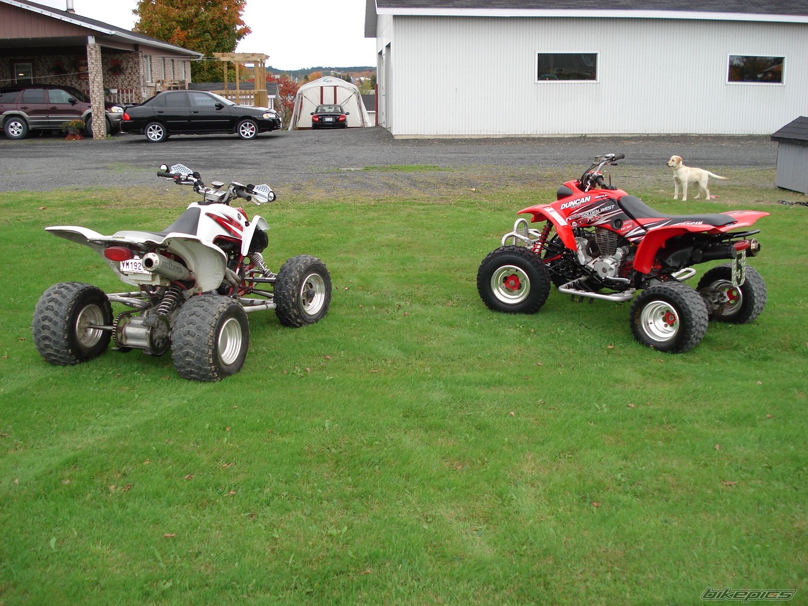 Photo 1437975