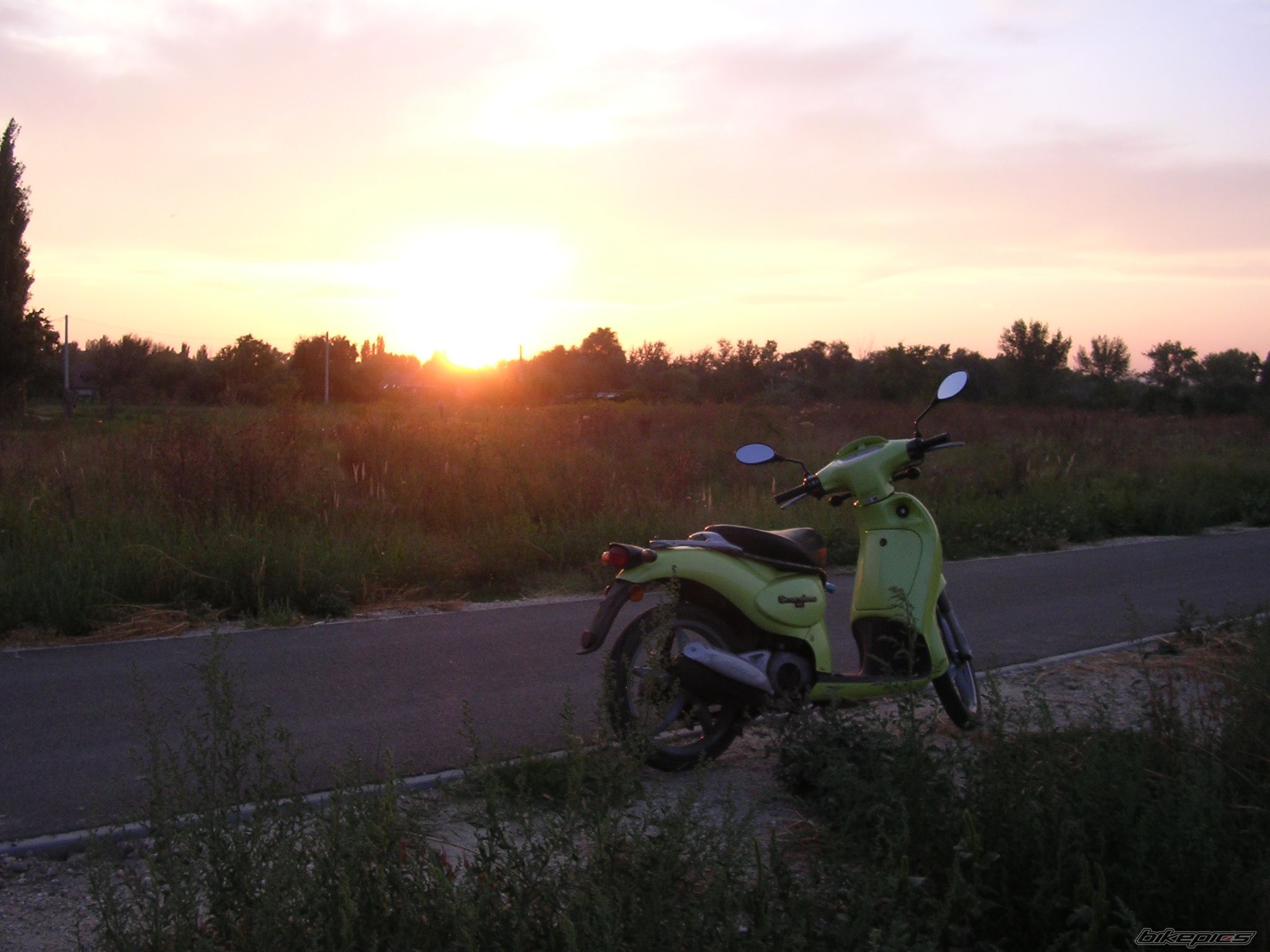 Photo 1437978