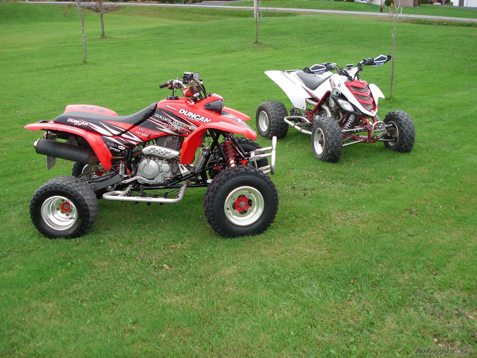 Photo 1437979