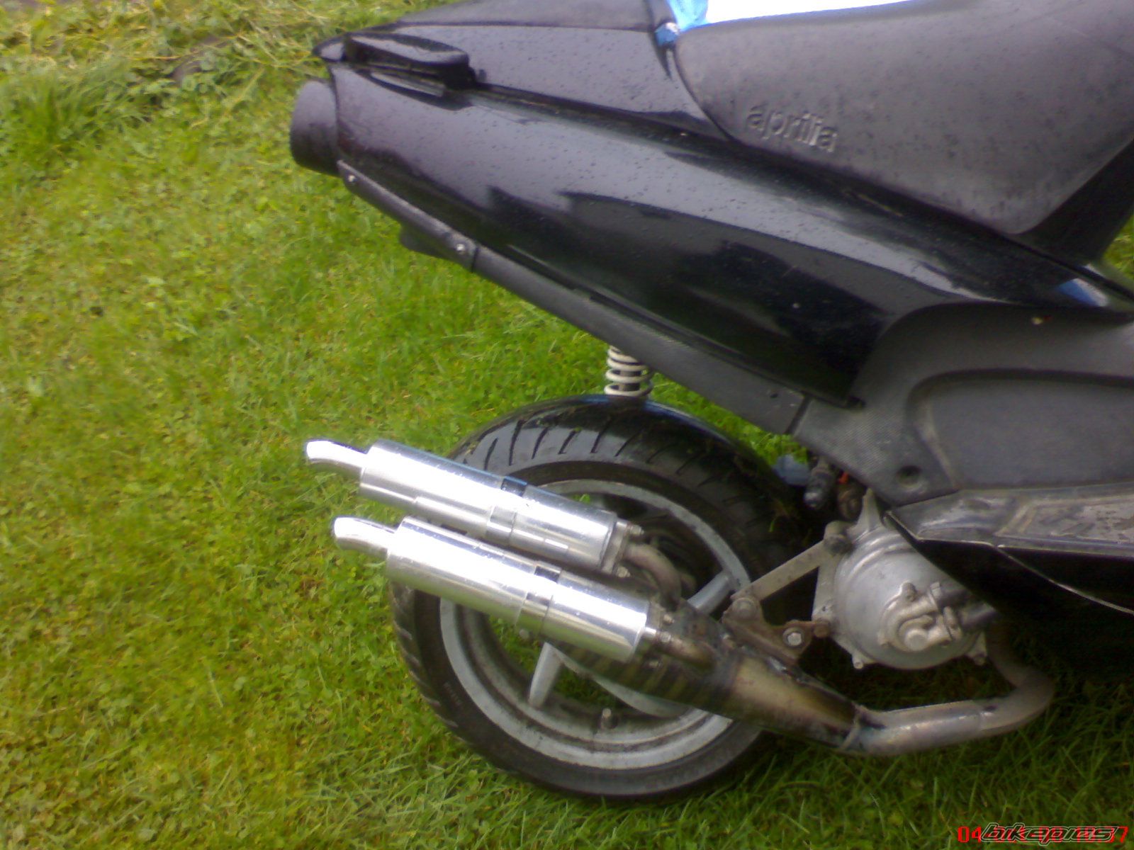 Photo 1437980