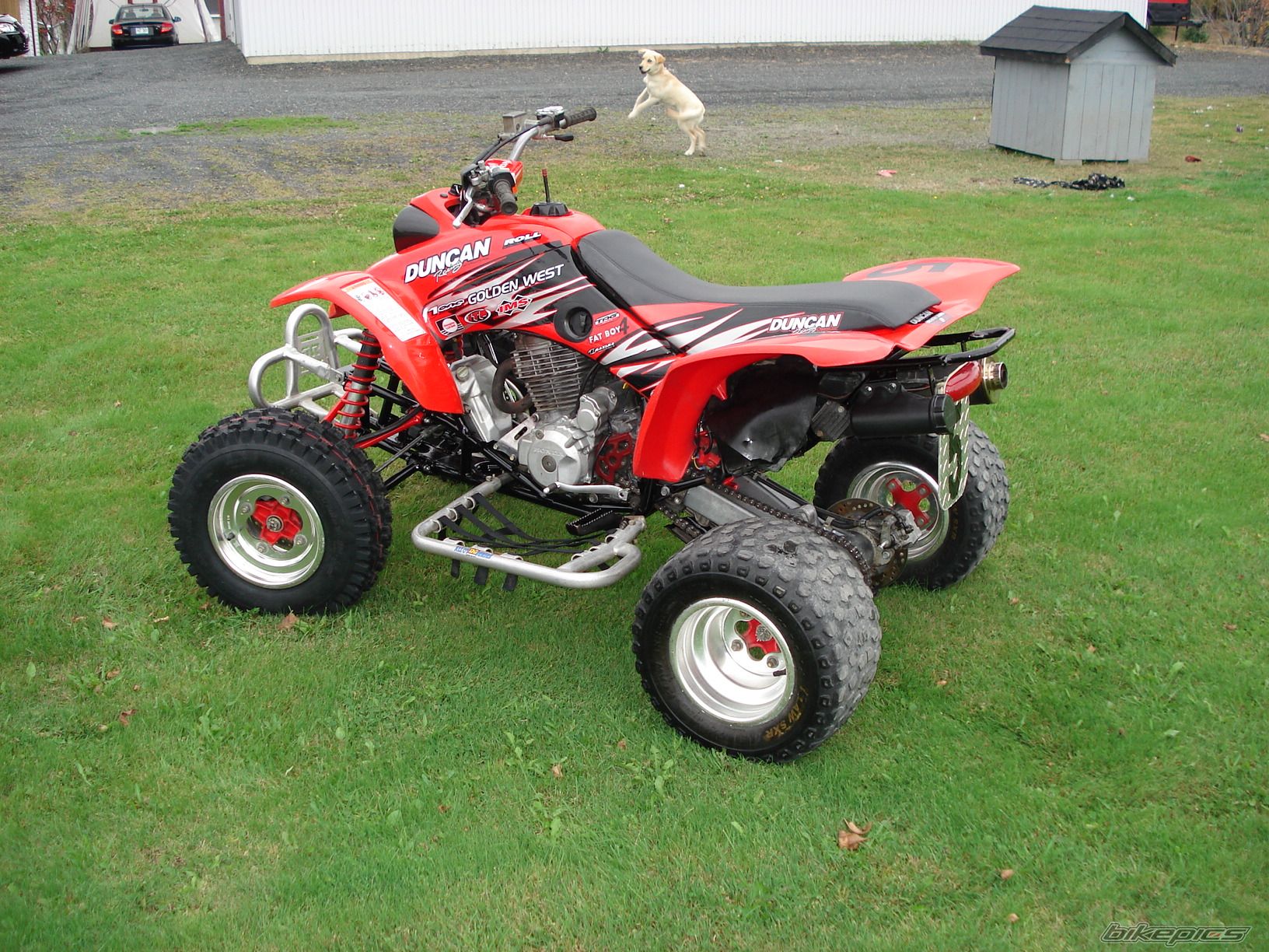 Photo 1437985
