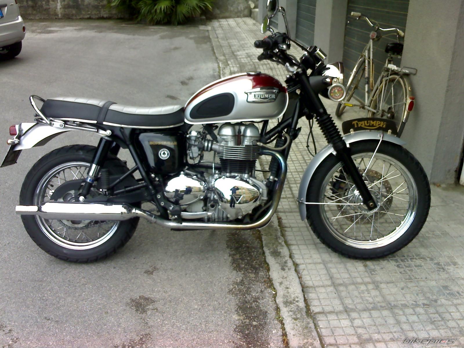Photo 1438009