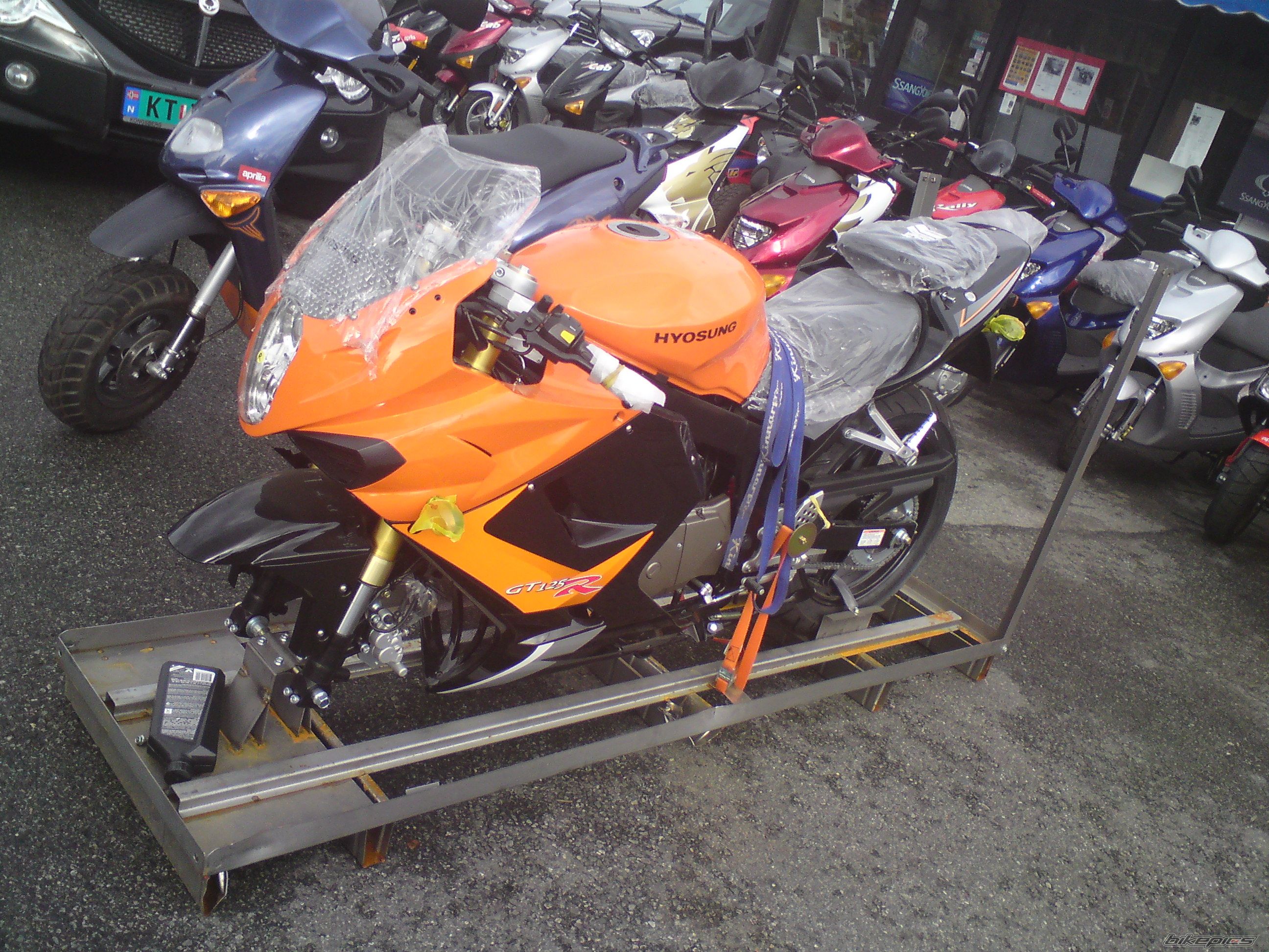 Photo 1438054