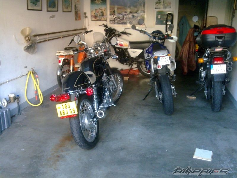 Photo 1438062