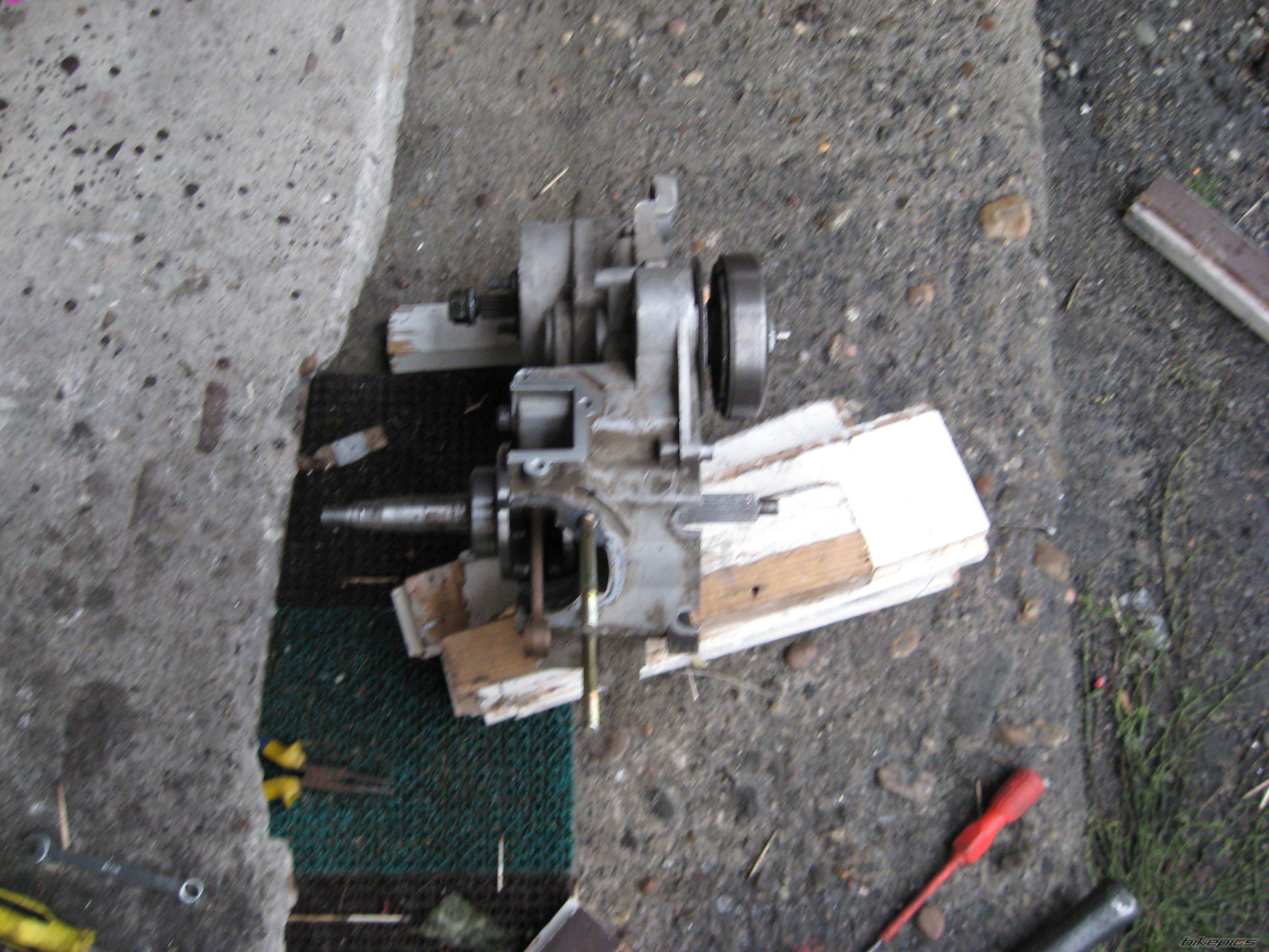 Photo 1438072