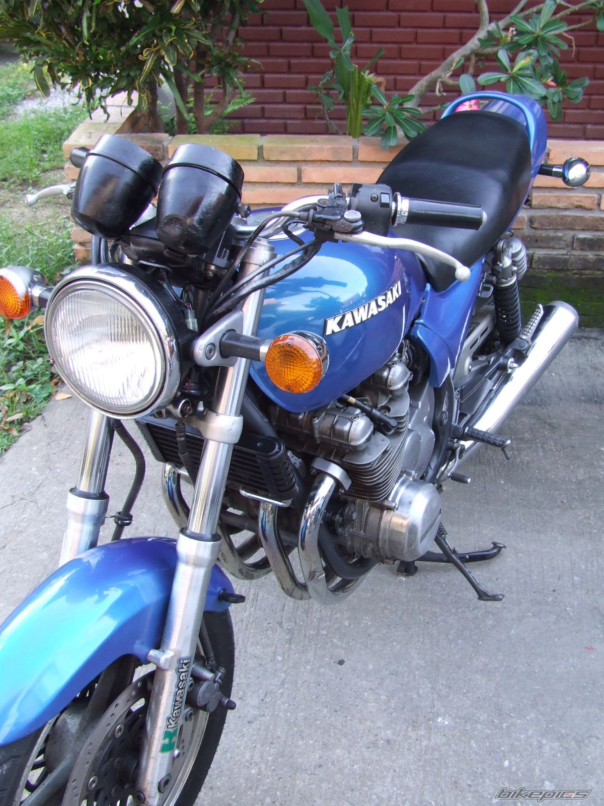 Photo 1438158