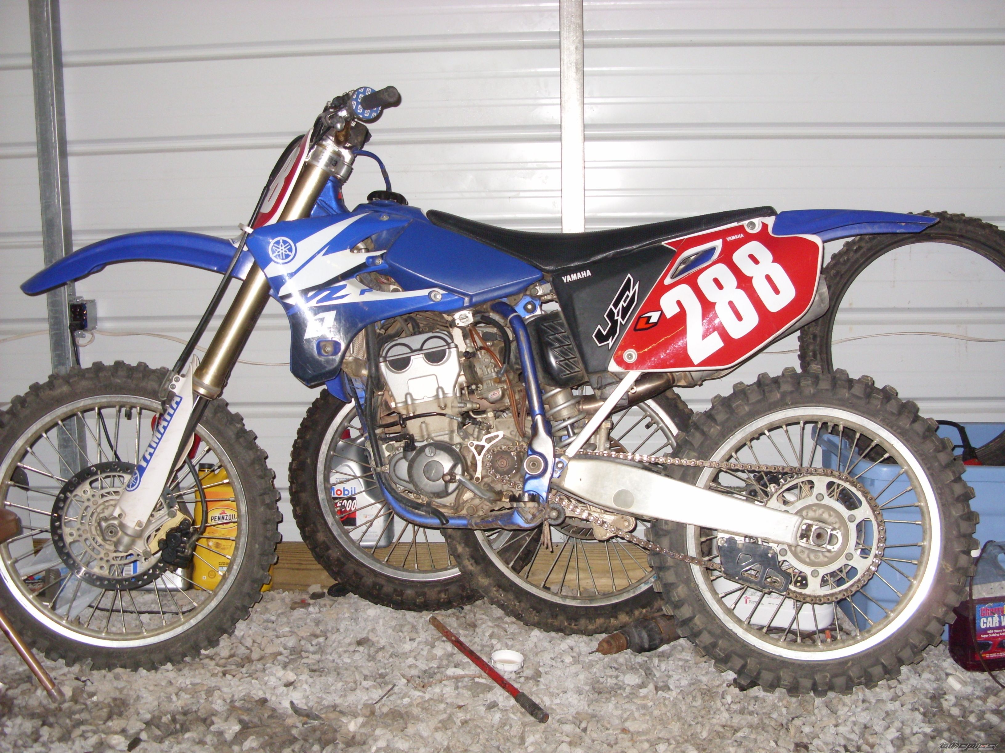 Photo 1438209