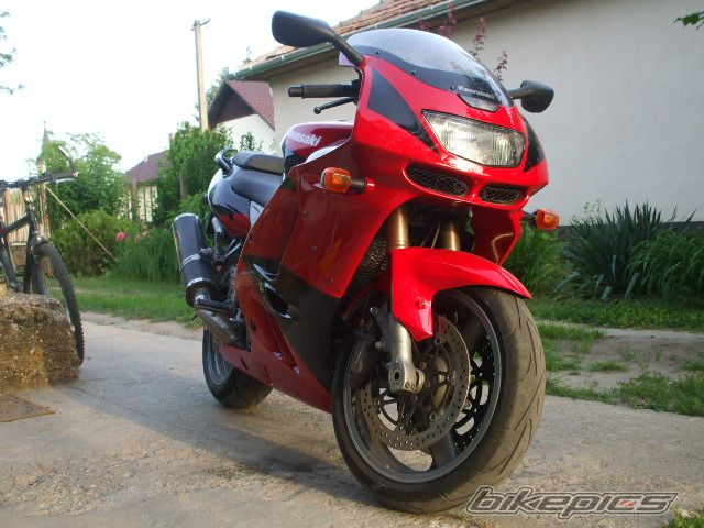 Photo 1438221