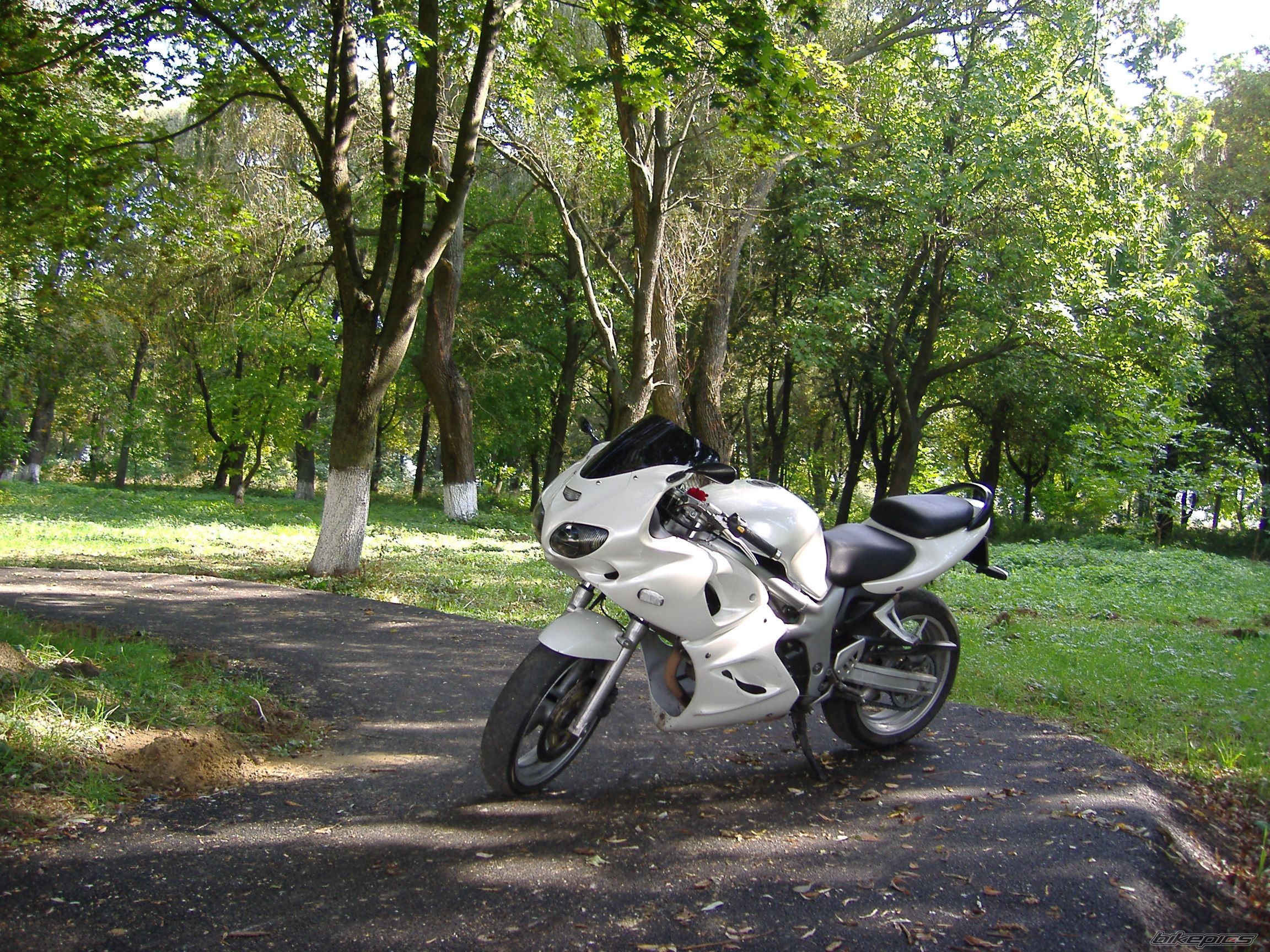 Bike Photo 1438248