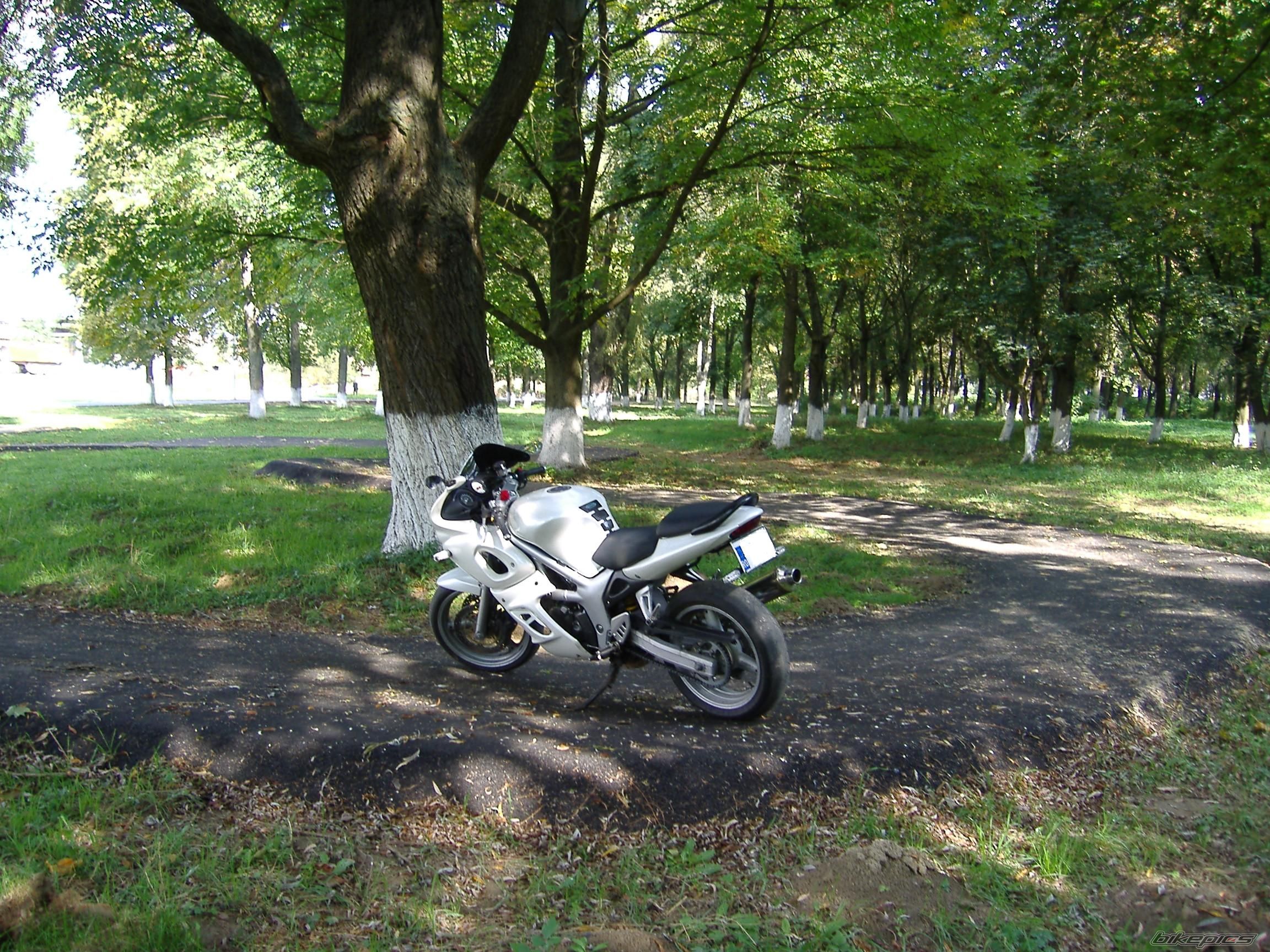 Bike Photo 1438250