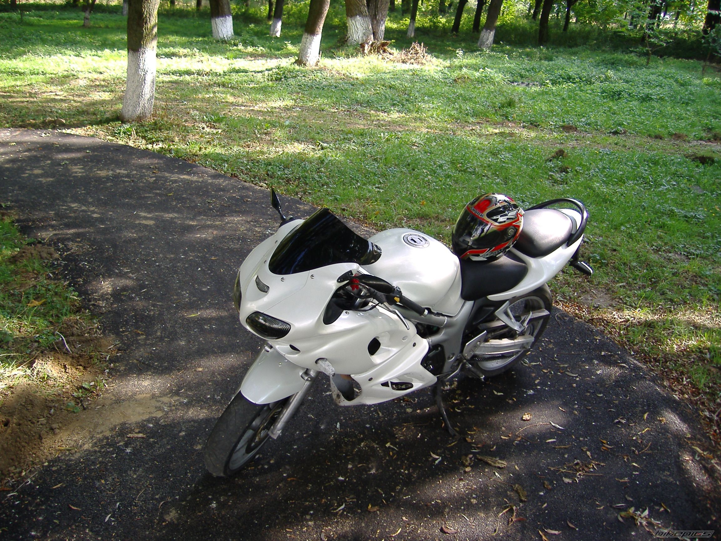 Photo 1438251