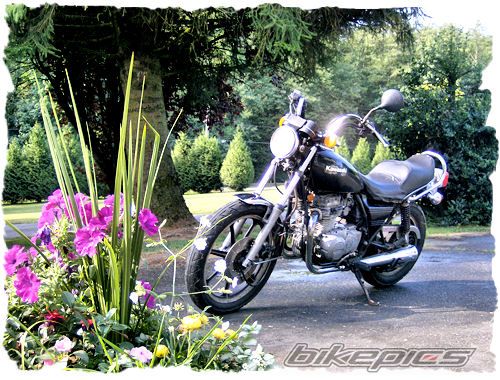 Photo 1438269