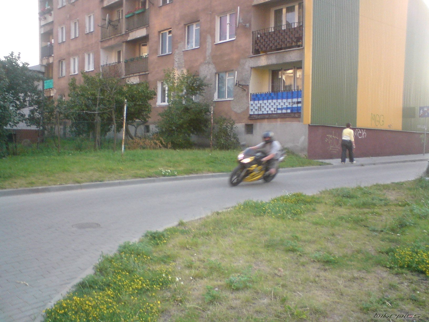 Photo 1438273