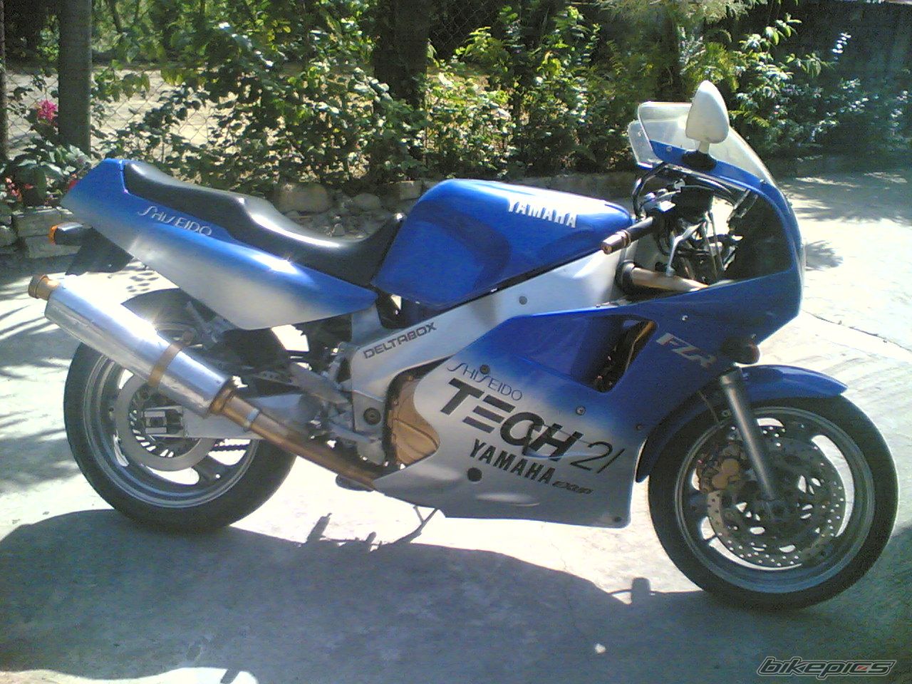 Photo 1438290