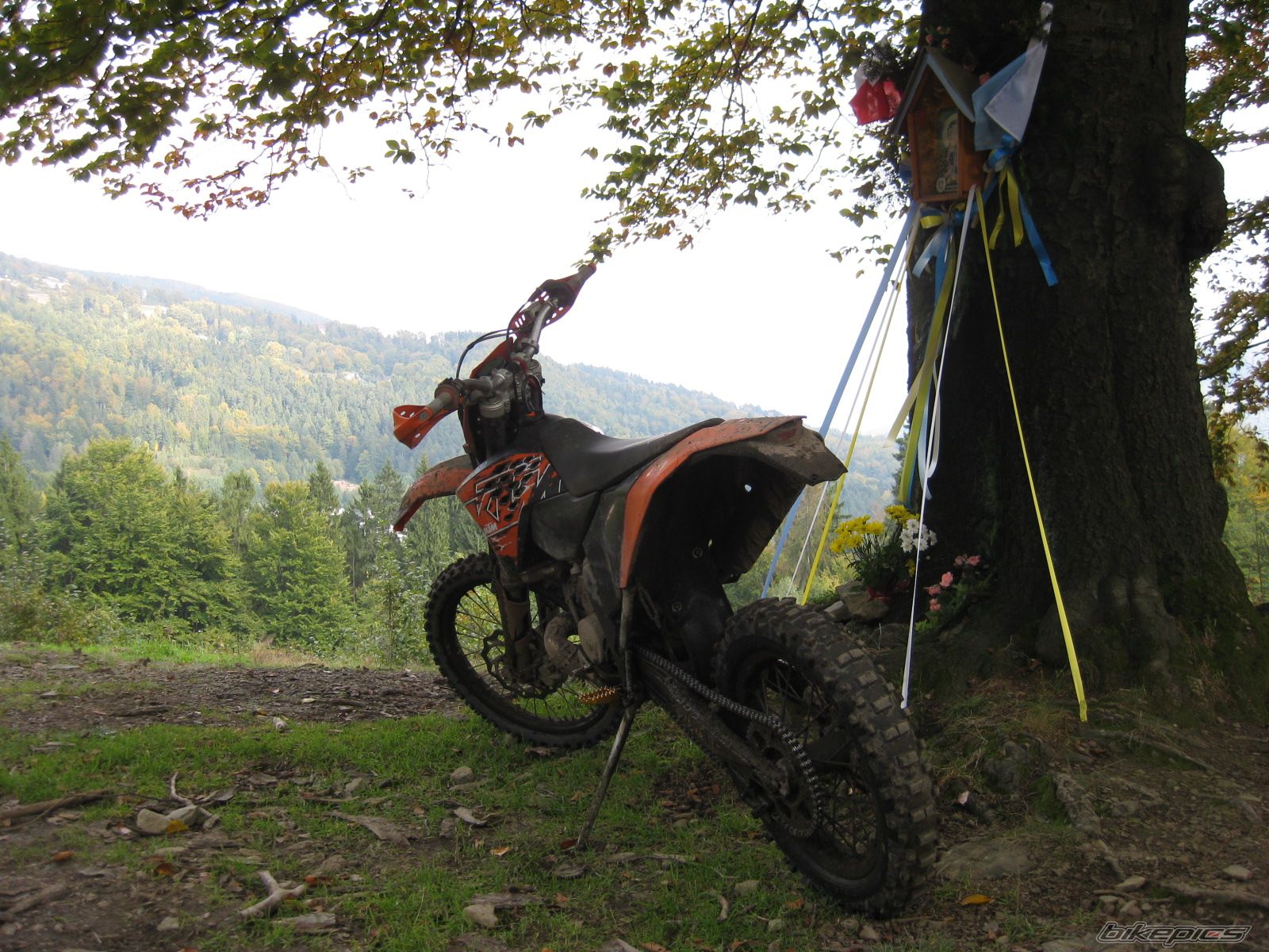 Bike Photo 1438405