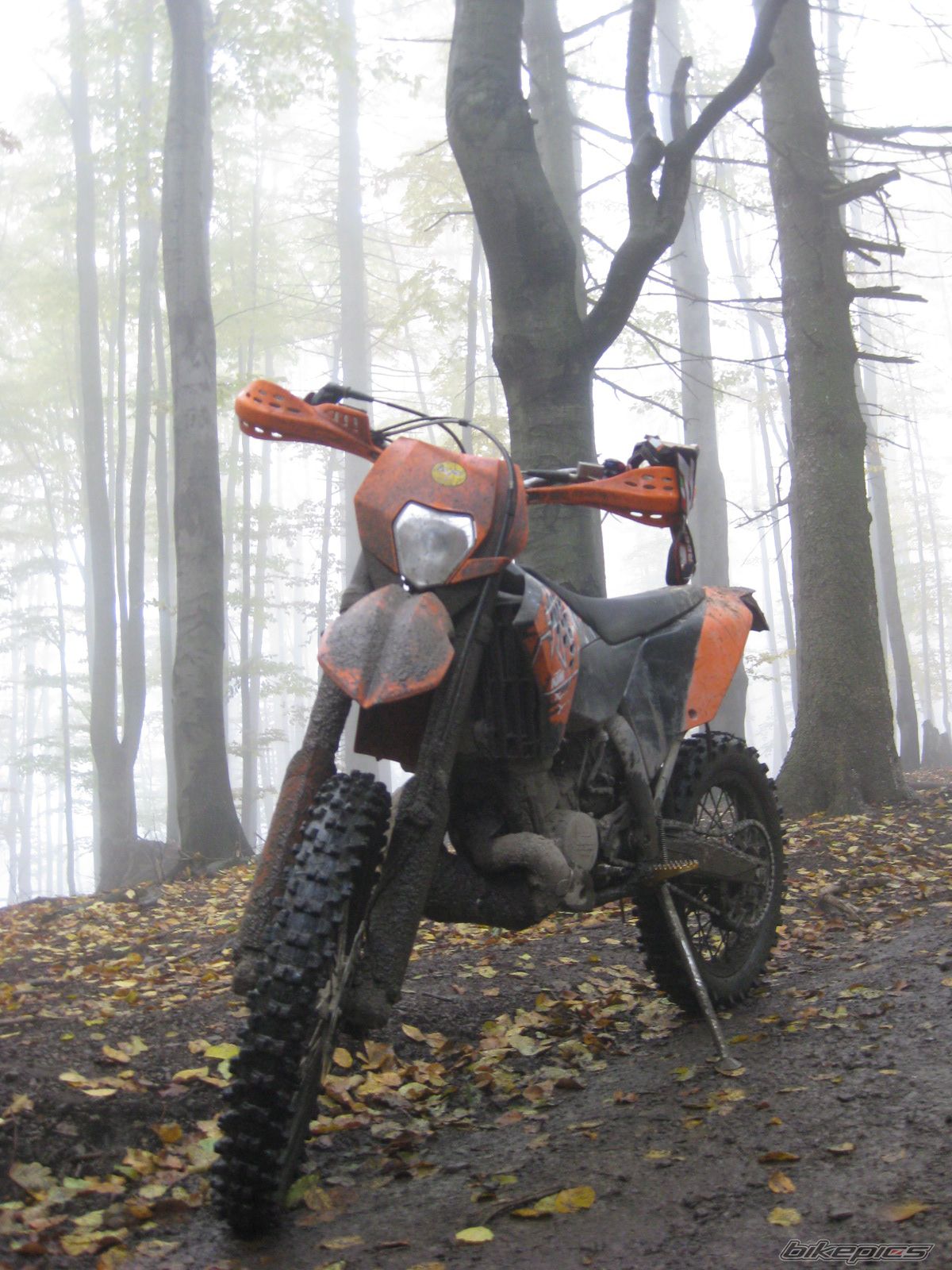 Photo 1438415