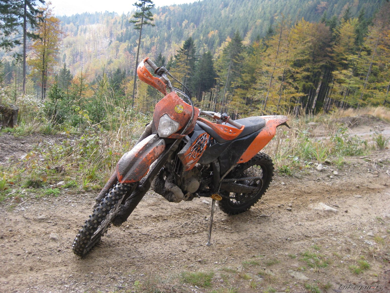 Photo 1438428