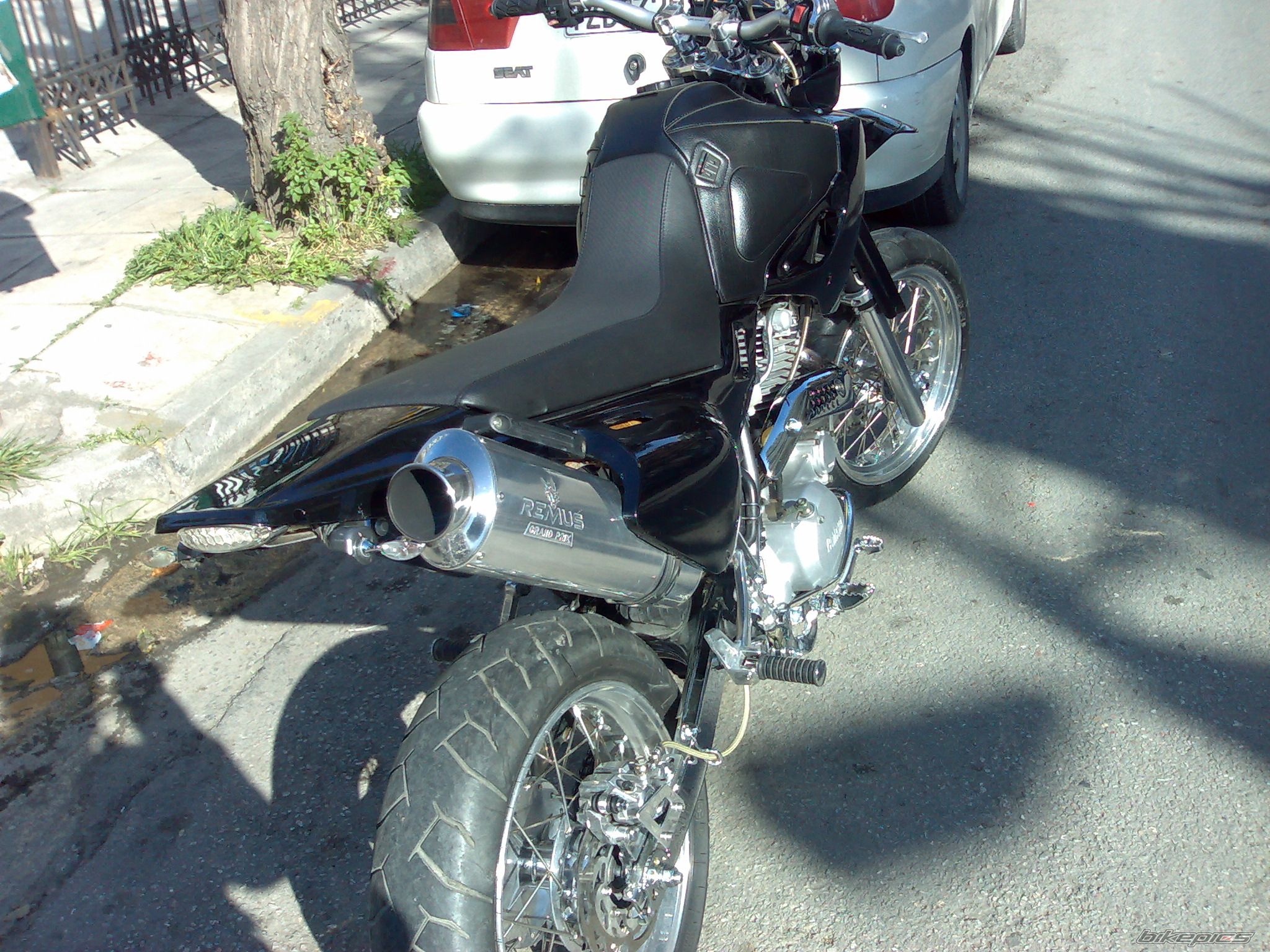 Photo 1438459