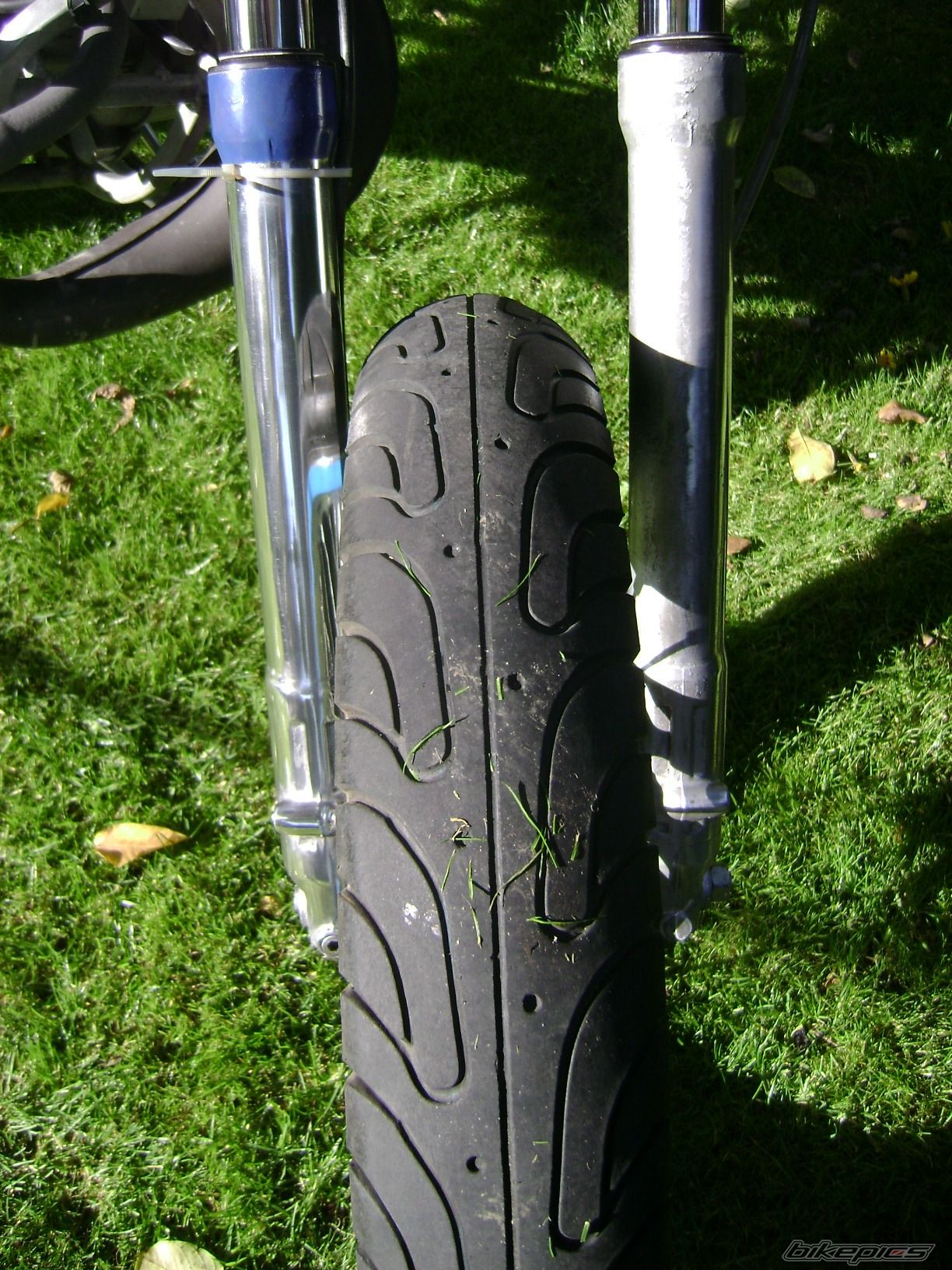 Photo 1438462