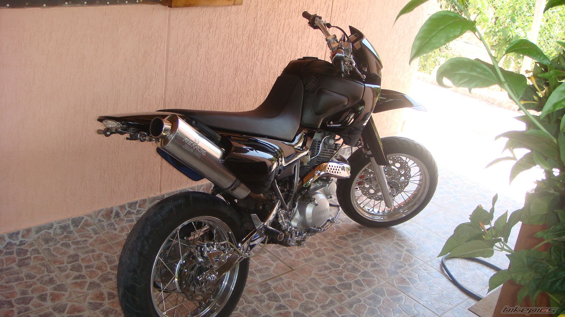 Photo 1438502