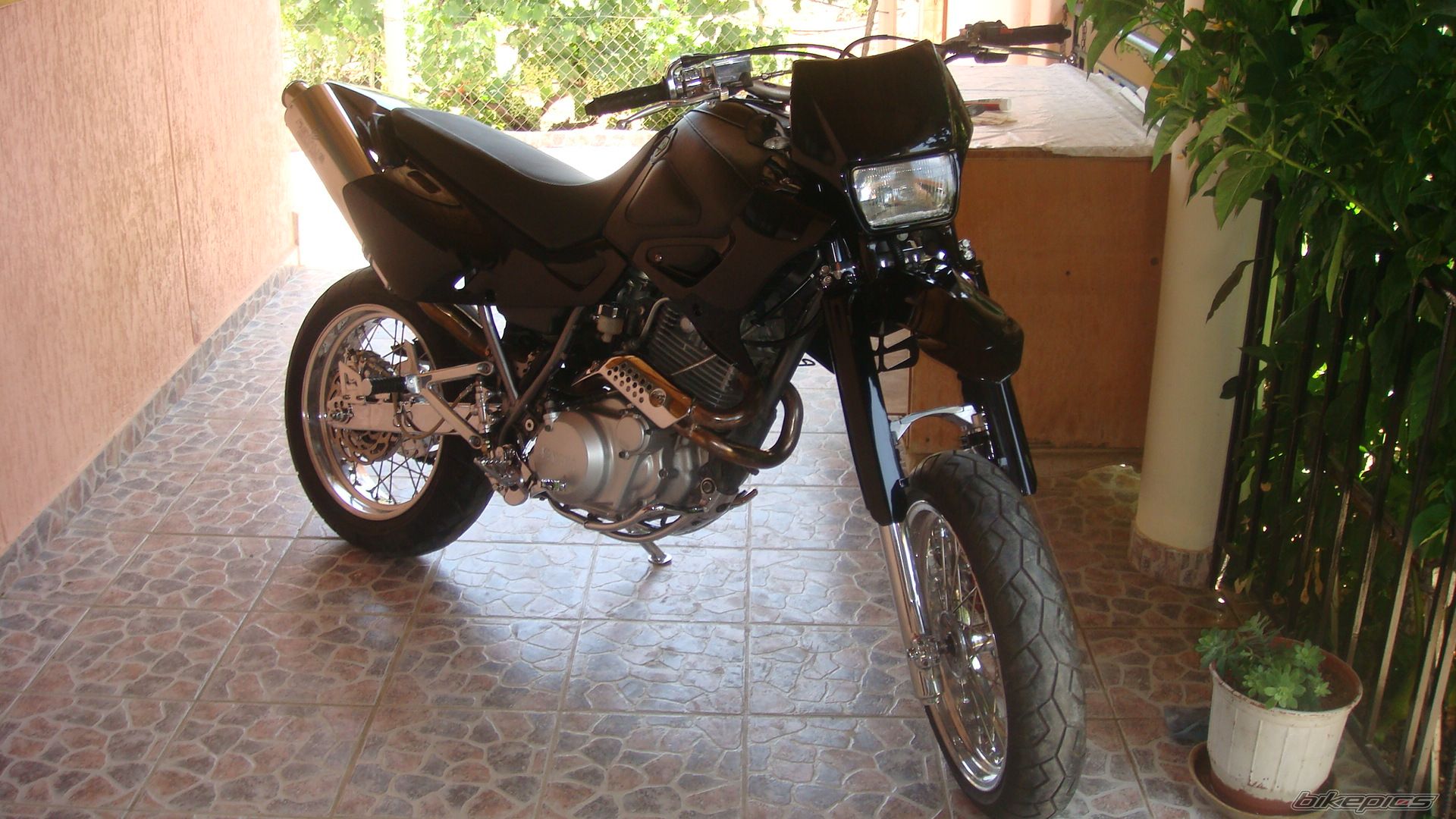 Photo 1438506