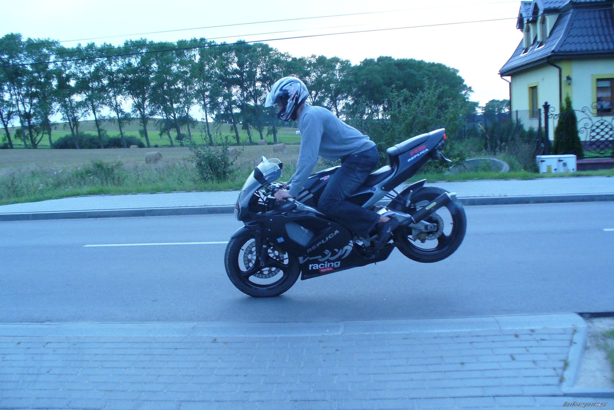 Photo 1438530