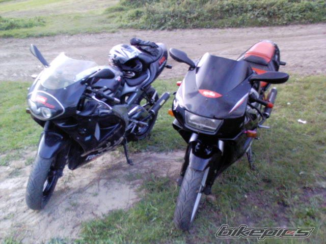 Photo 1438538