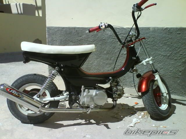 Photo 1438548