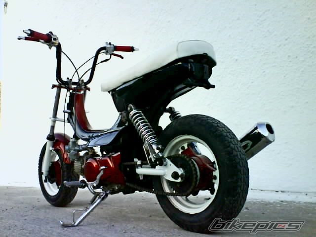 Photo 1438558