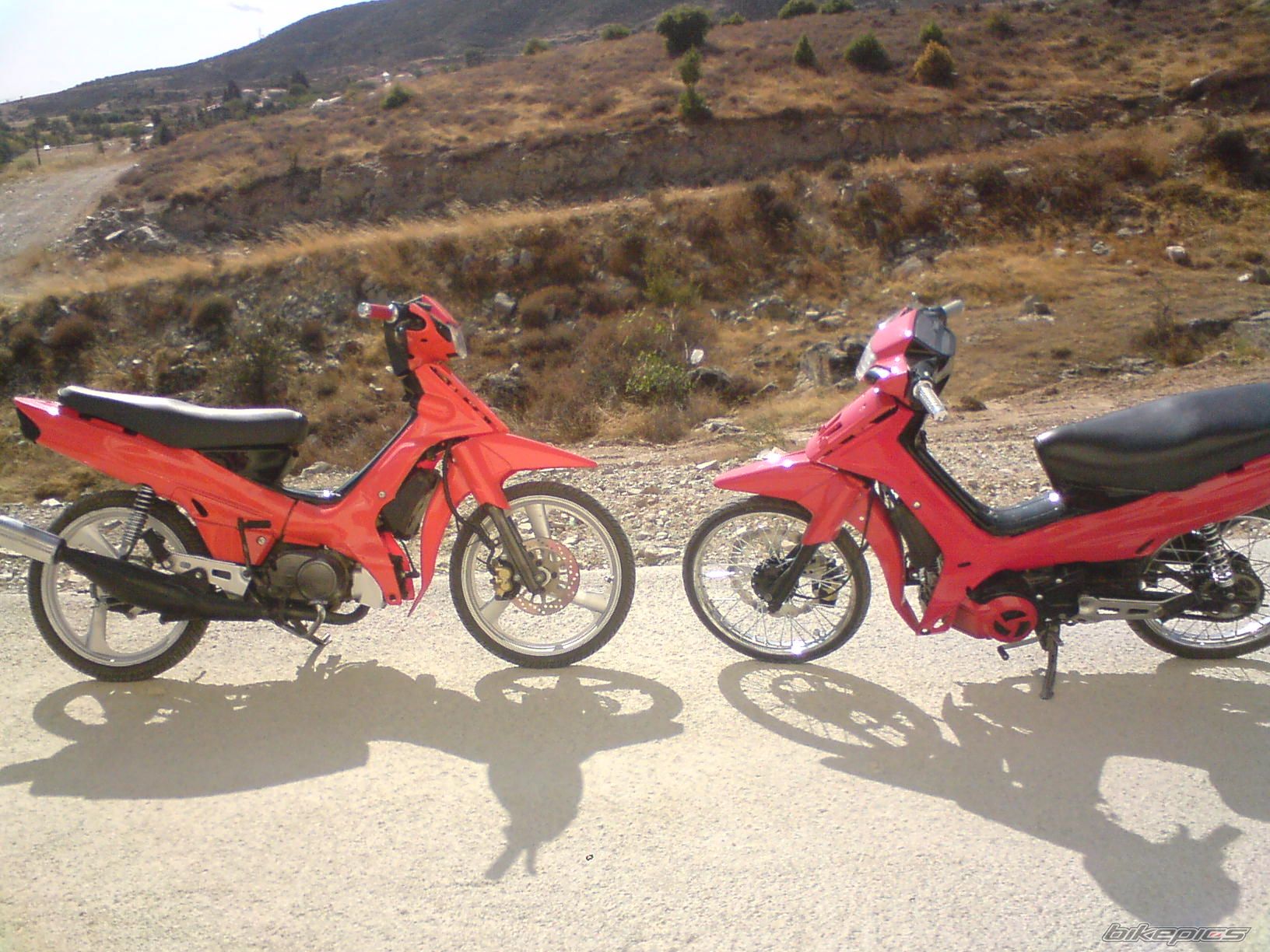Photo 1438628