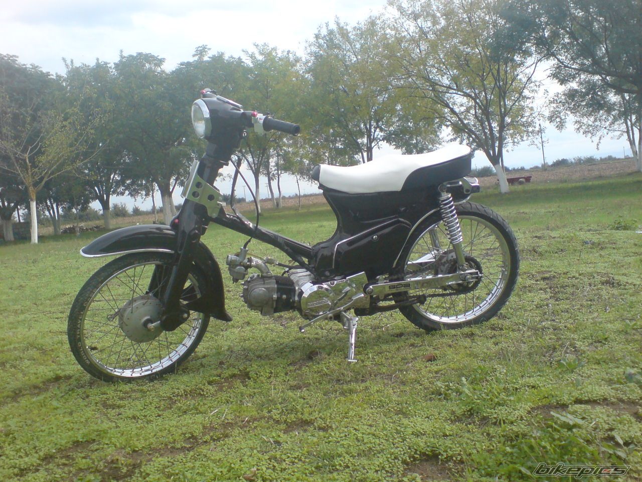 Photo 1438637