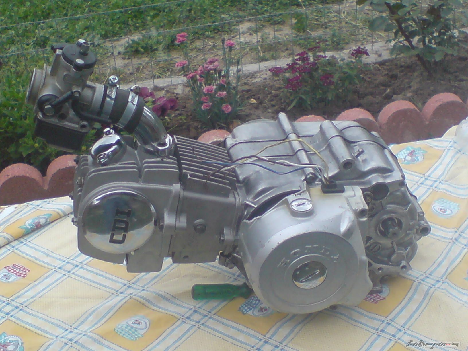 Photo 1438641