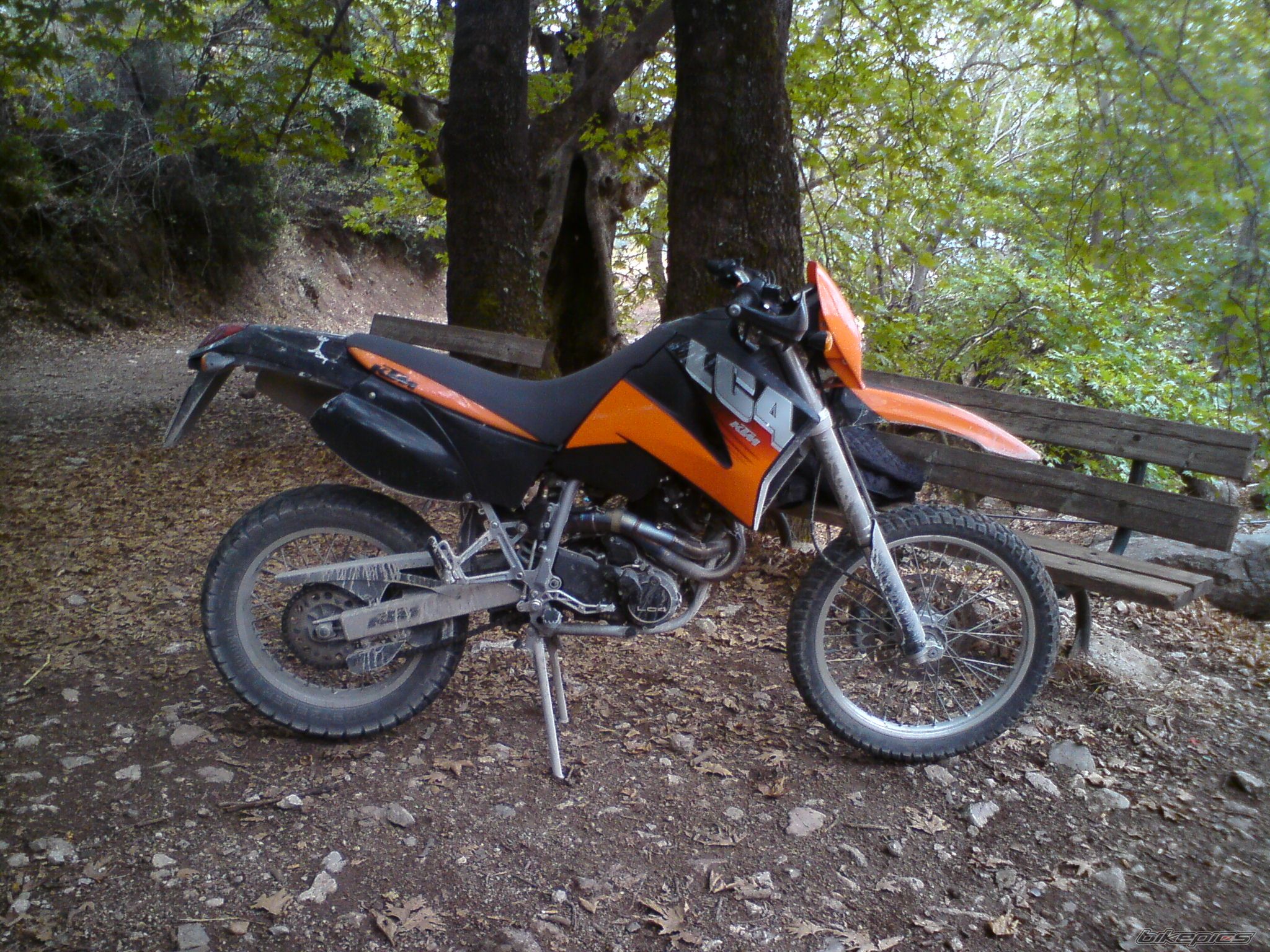 Photo 1438661