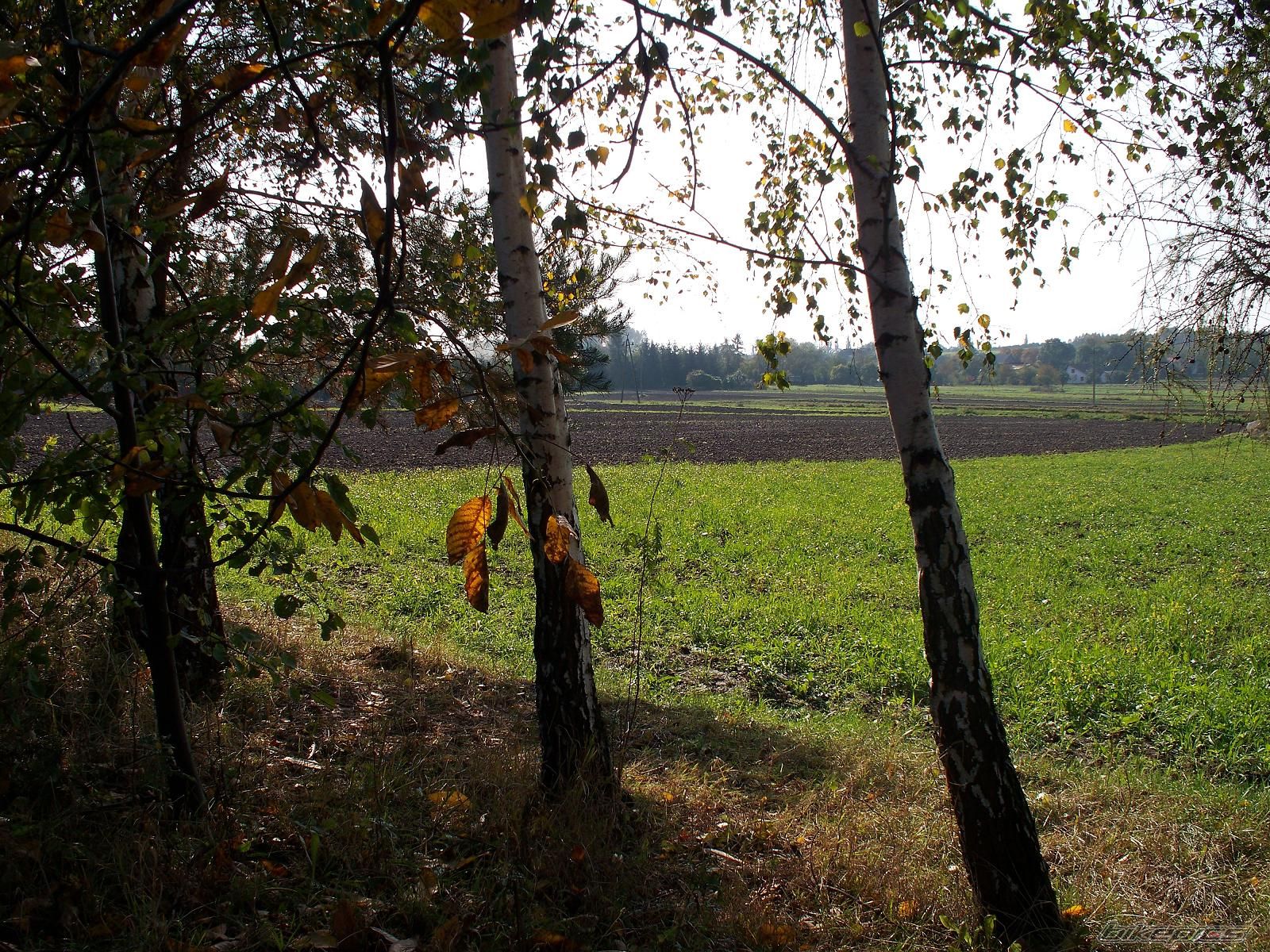 Photo 1438679