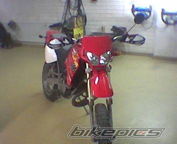 Photo 143877