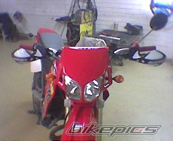Photo 143878
