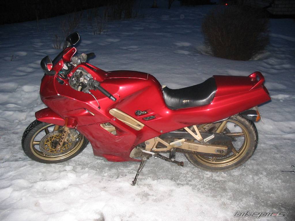 Photo 143879