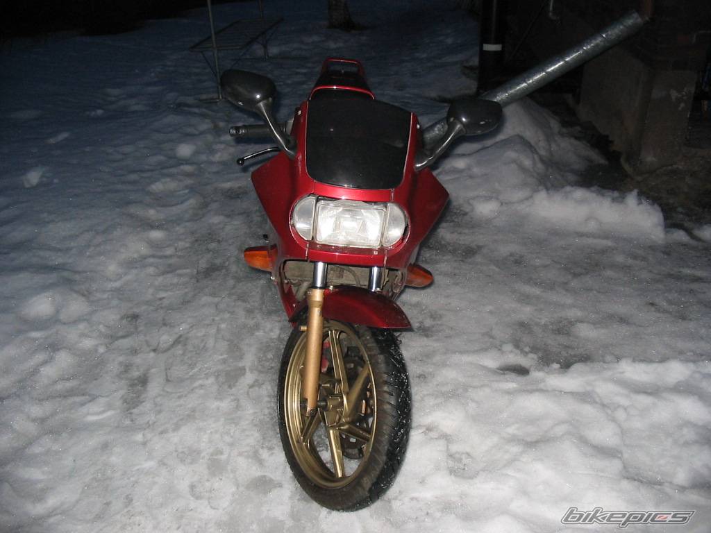 Photo 143882
