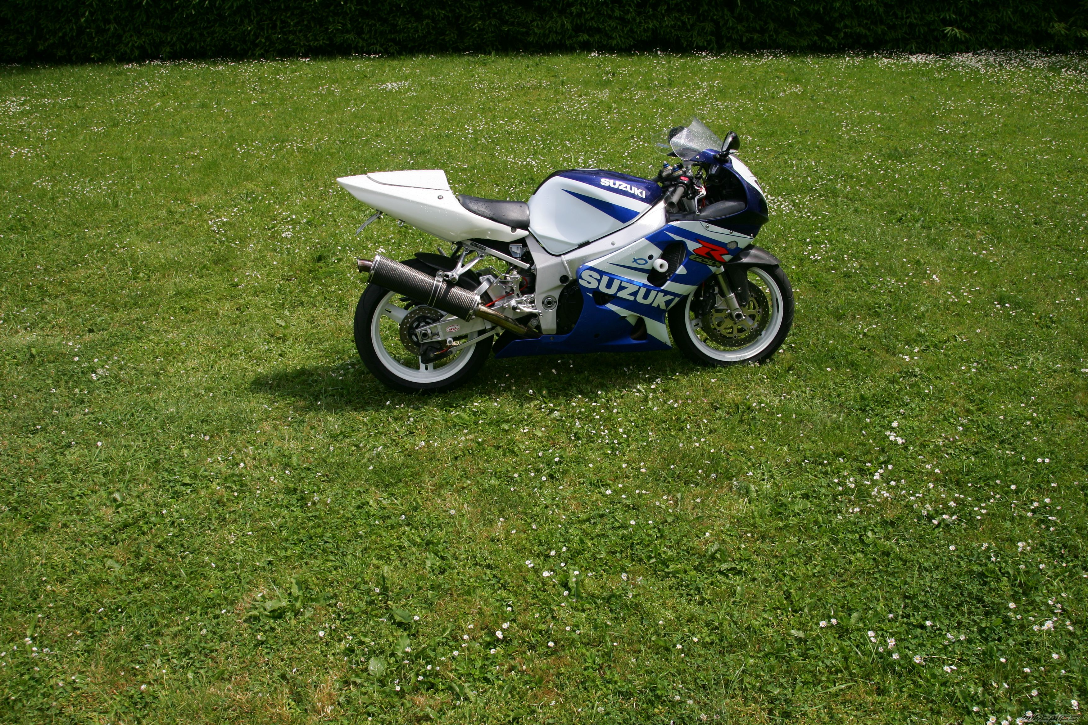 Photo 1438849