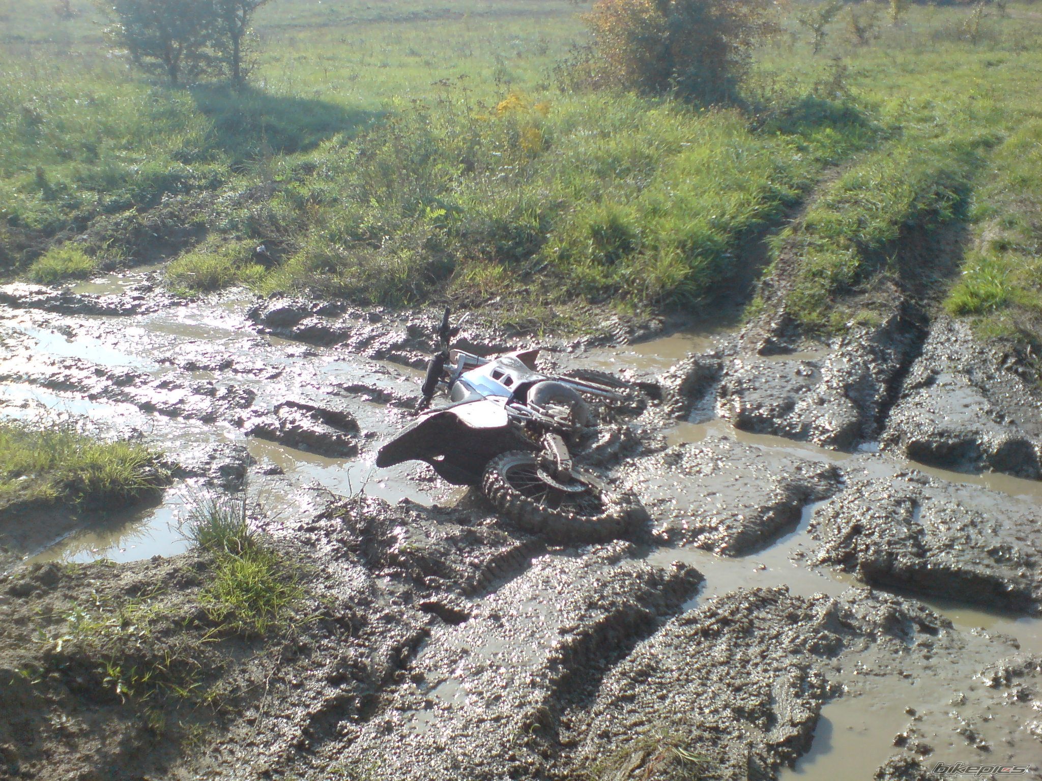 Photo 1438910