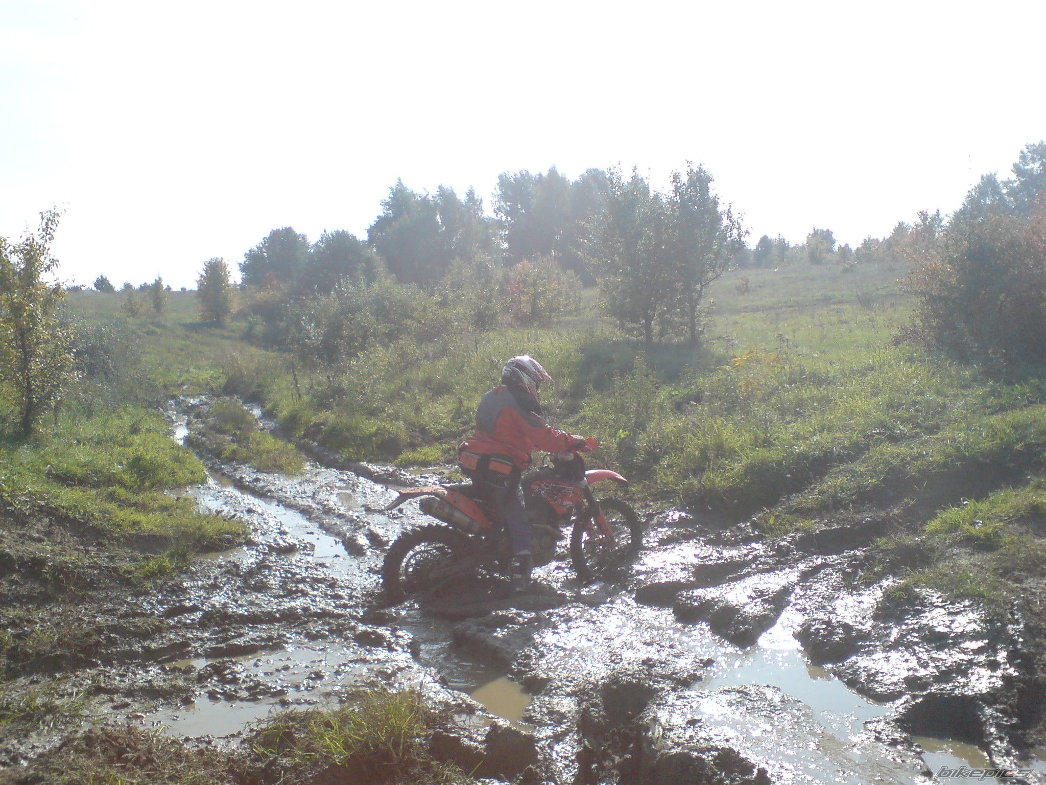 Photo 1438911